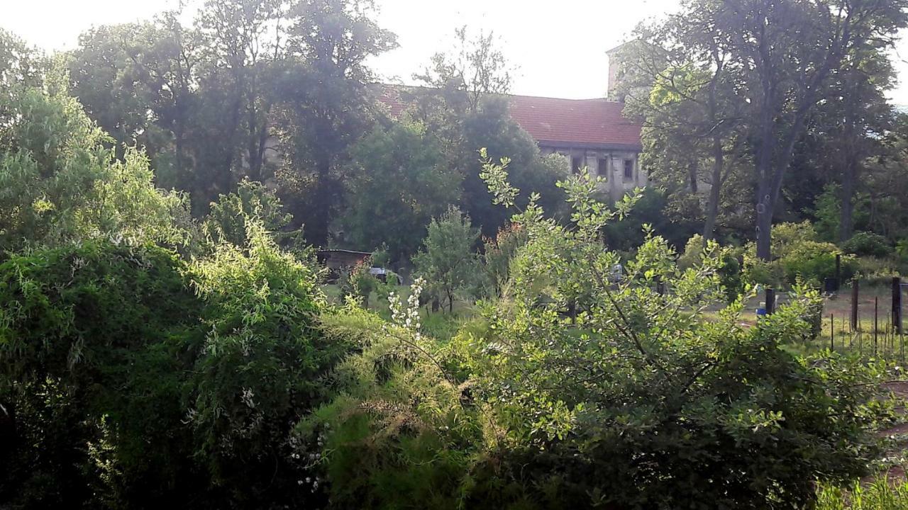 Pivovar Spitt Zahorany Guest House Litomerice Ngoại thất bức ảnh